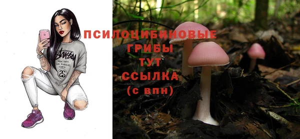 PSILOCYBIN Алексин