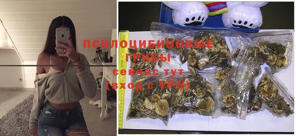 MESCALINE Алзамай
