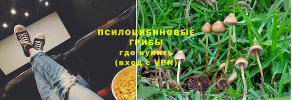MESCALINE Алзамай