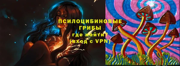 PSILOCYBIN Алексин