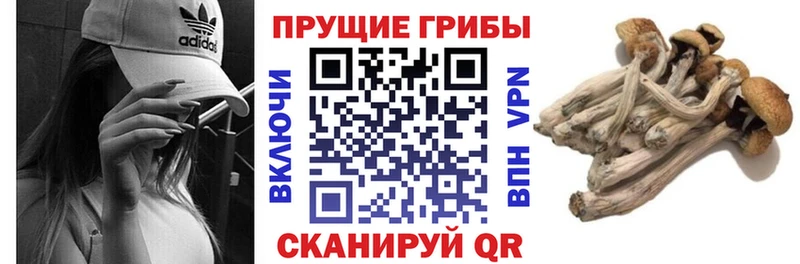 Галлюциногенные грибы мухоморы  Харовск 